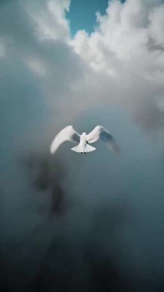 話 1