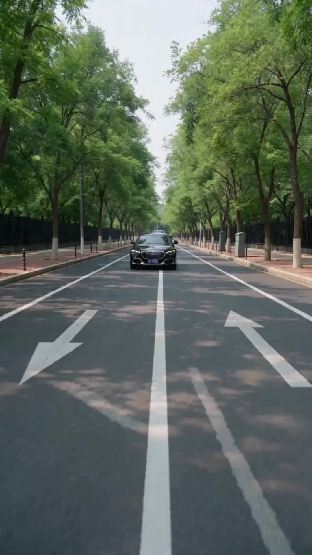 集 11