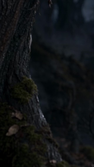 Episode 21