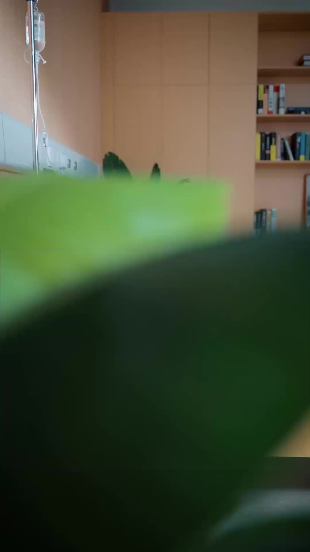 集 15