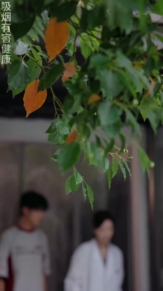 Episódio 5