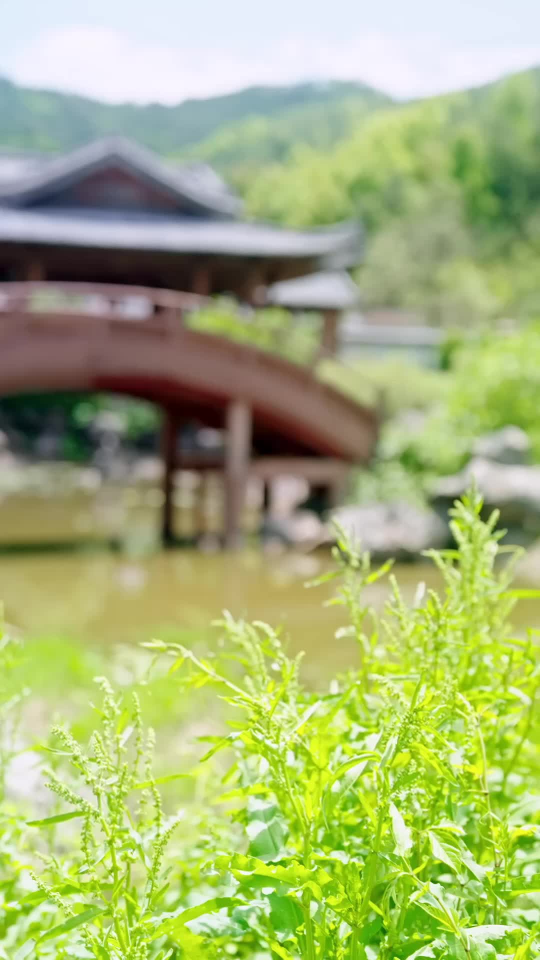 集 29