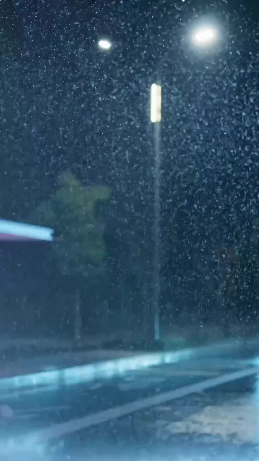 集 10