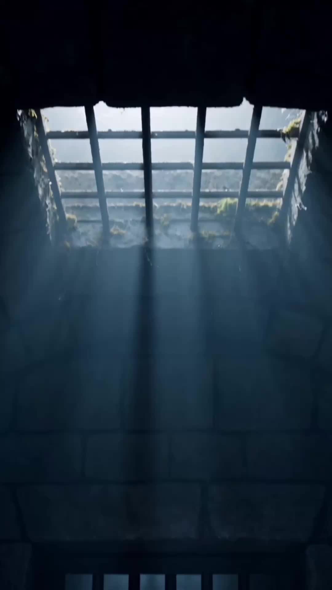 Episode 13