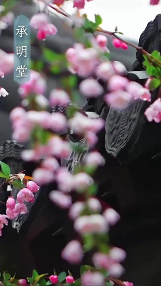 集 19