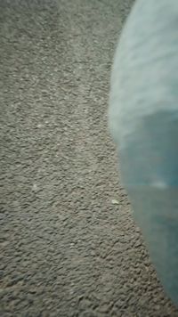 集 26