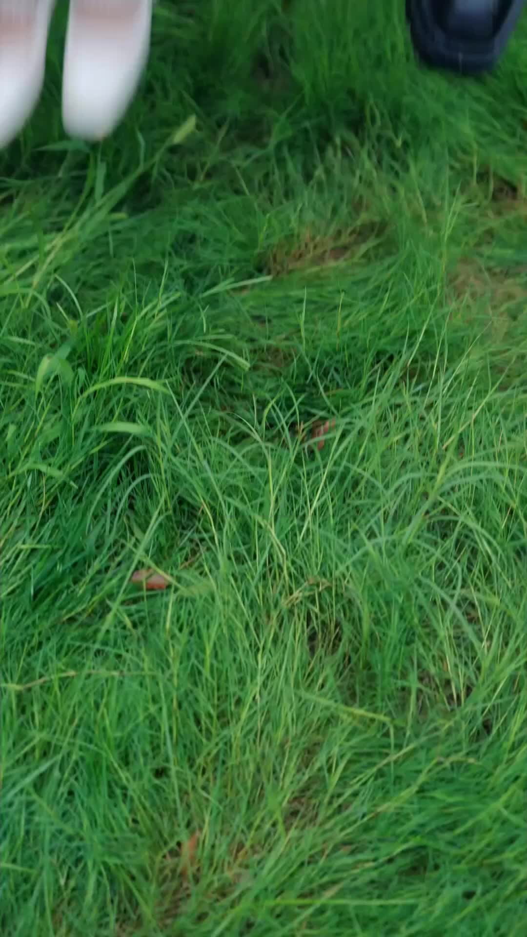 集 2