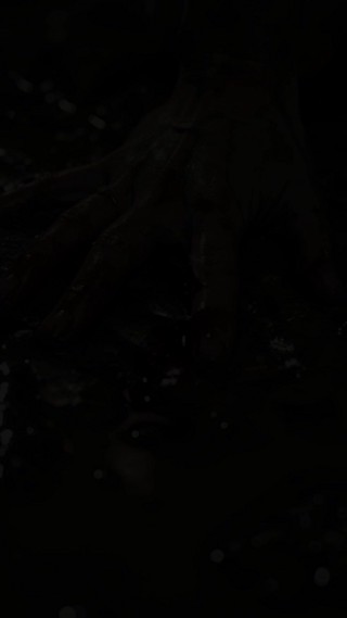 Episode 26