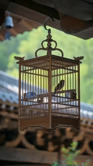 集 14