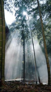 集 1