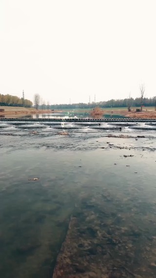 集 1
