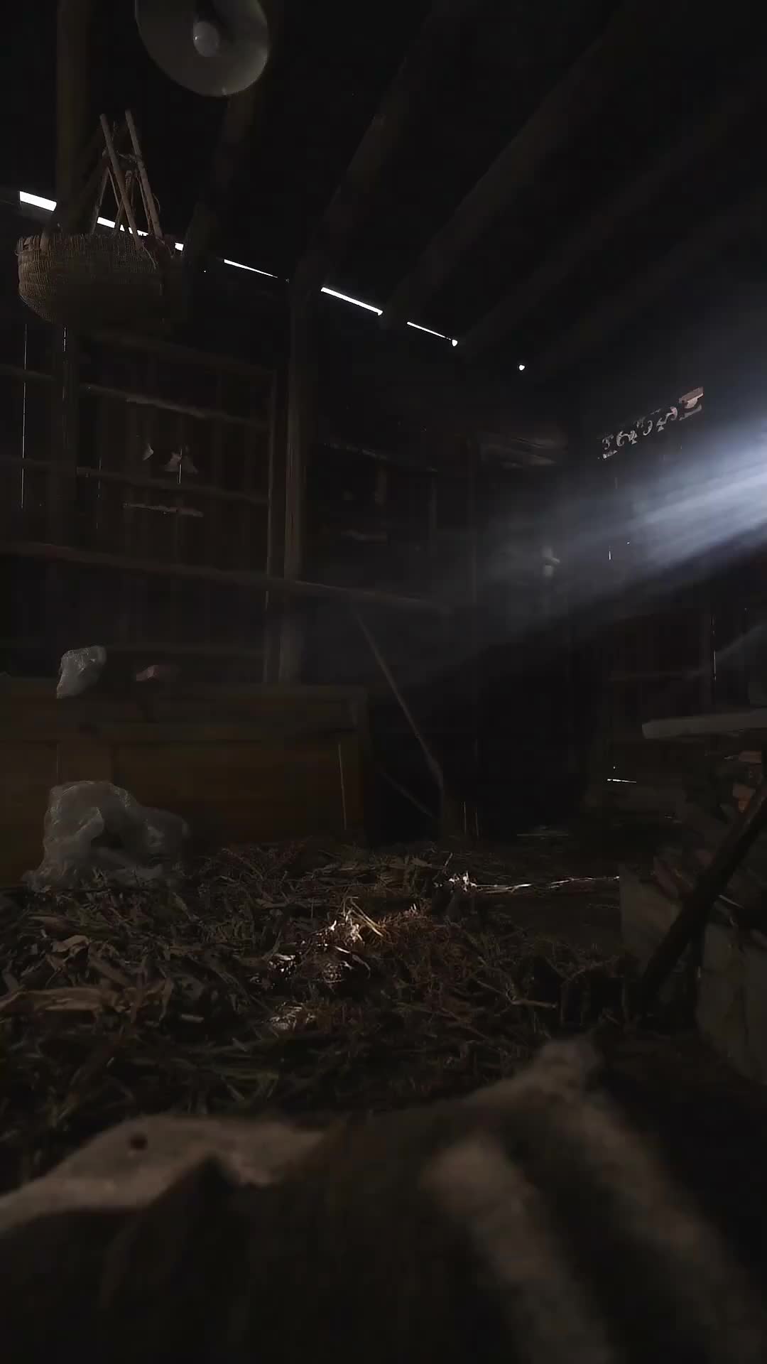 Episodio 12