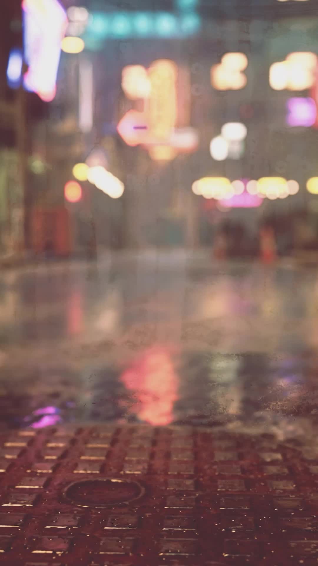 集 13