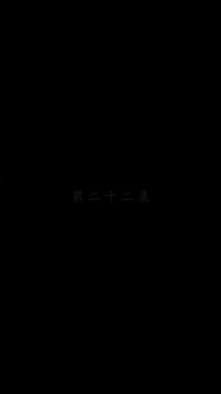 集 22