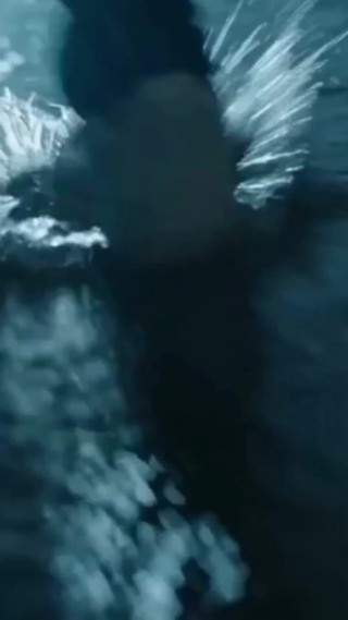 集 1