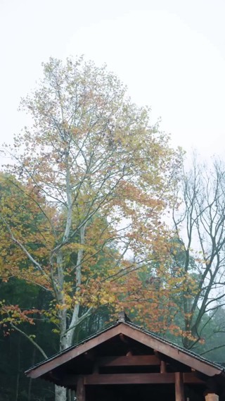 集 17