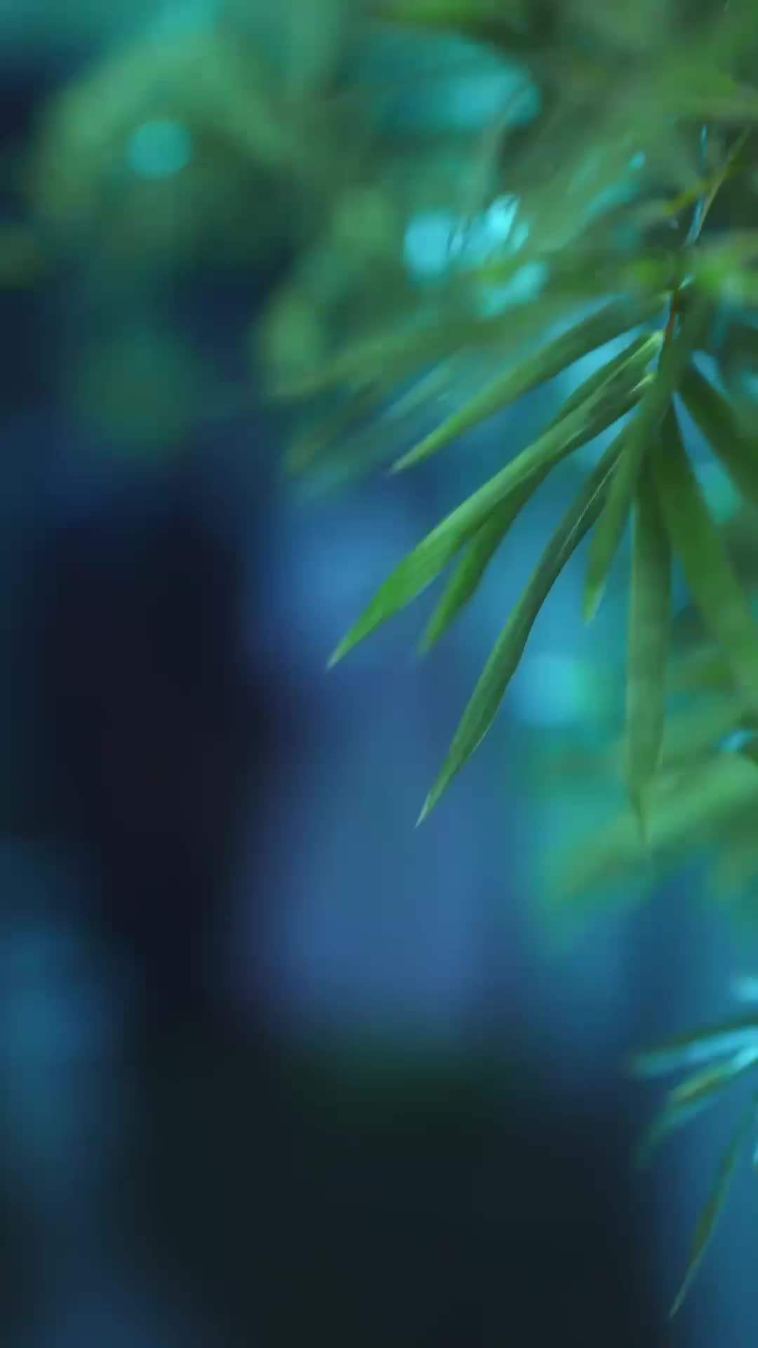 ตอนที่ 16