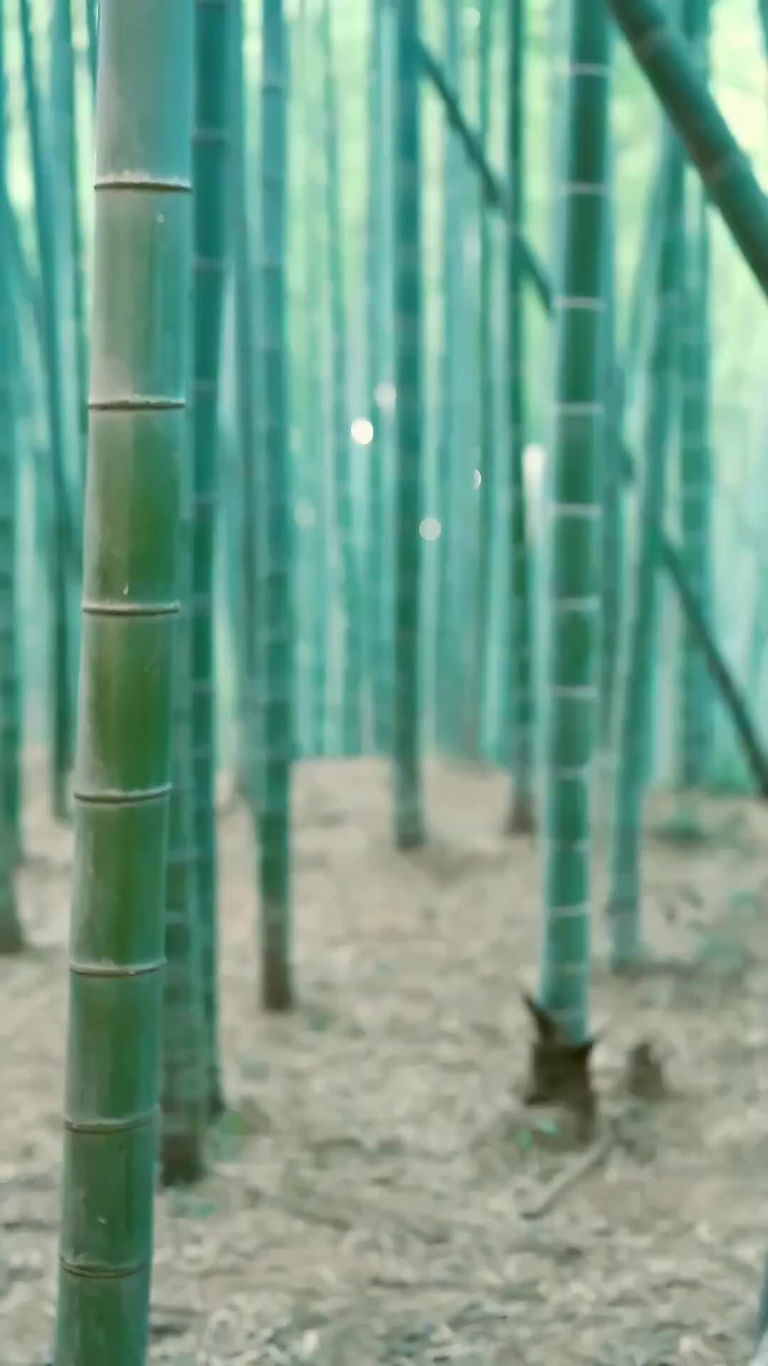 Episode 29