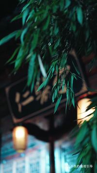 集 18
