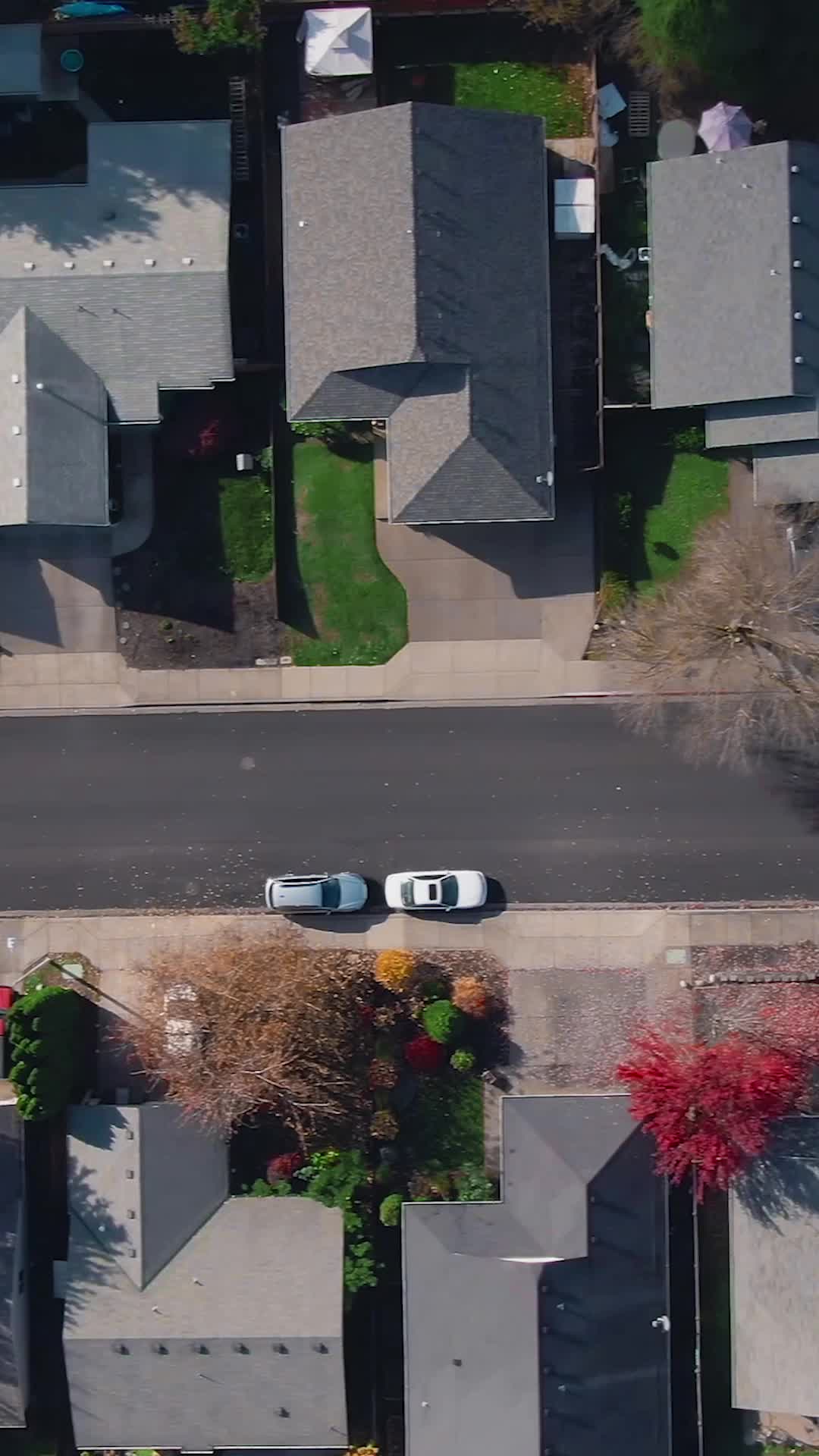Episode 29
