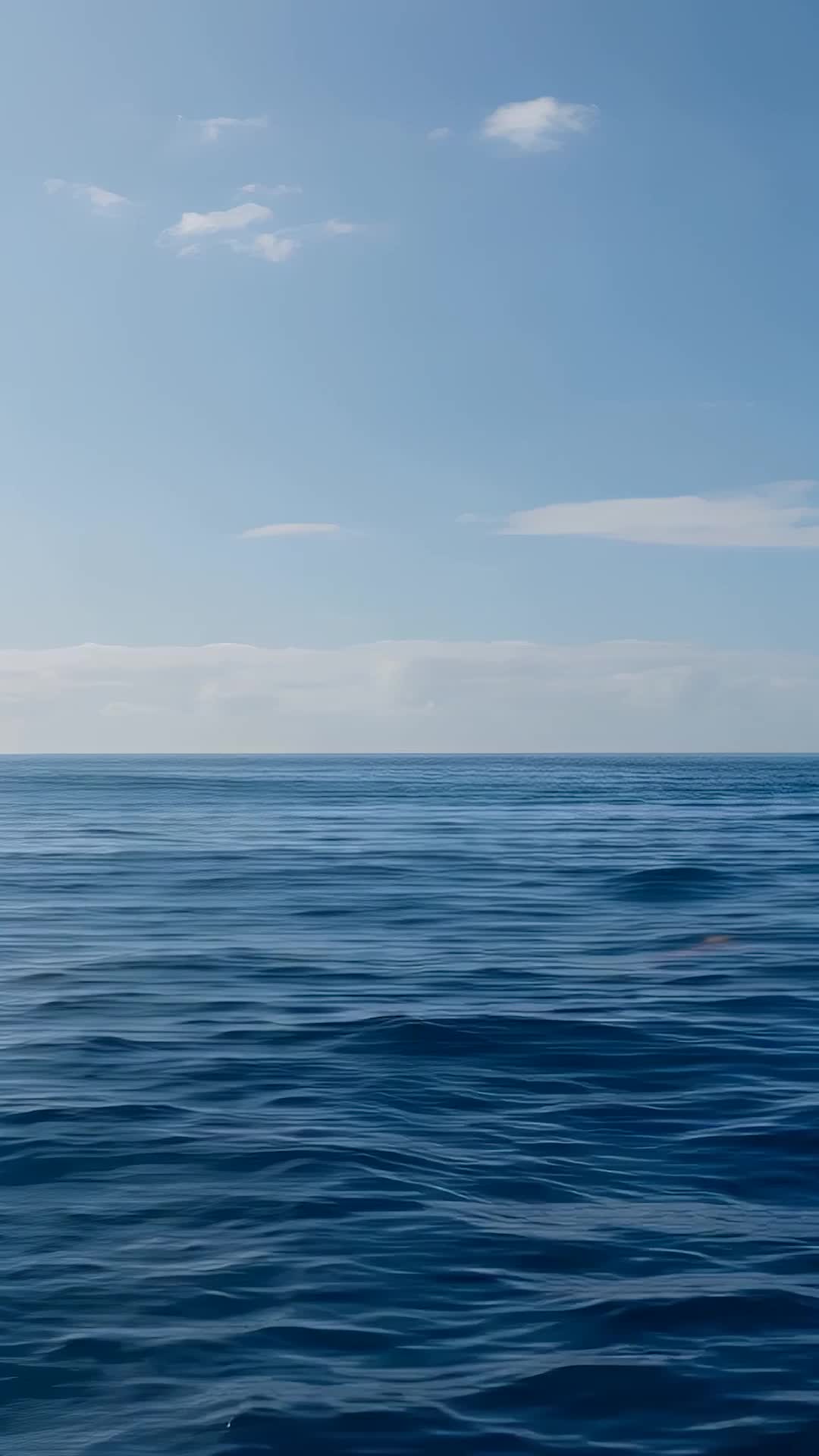 Episode 27