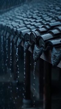 集 1