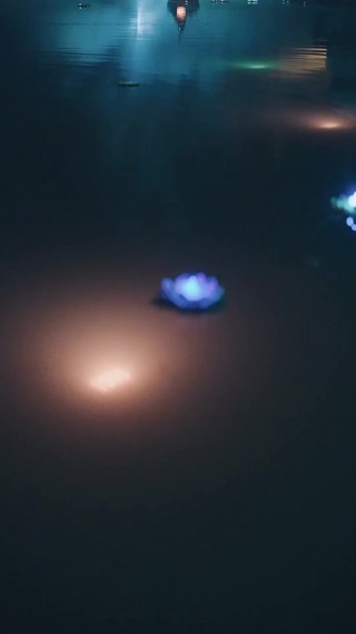 集 1