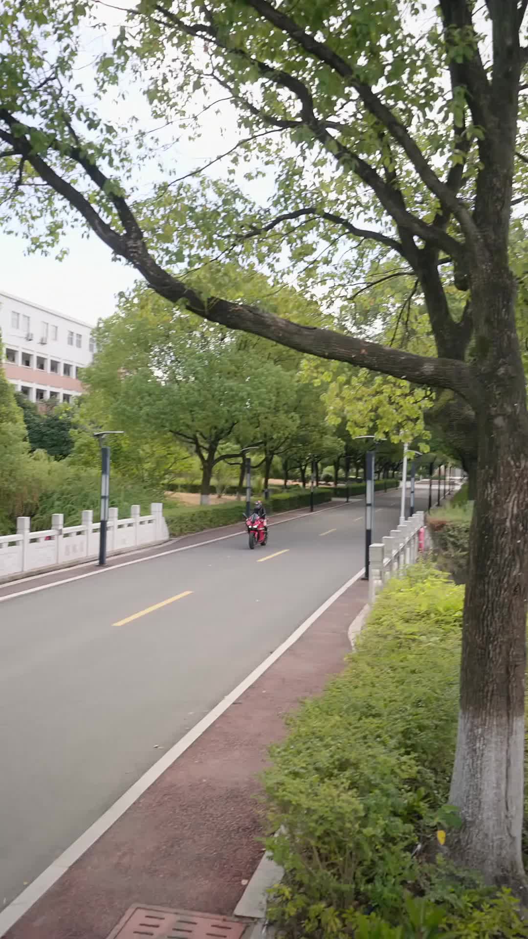 集 7