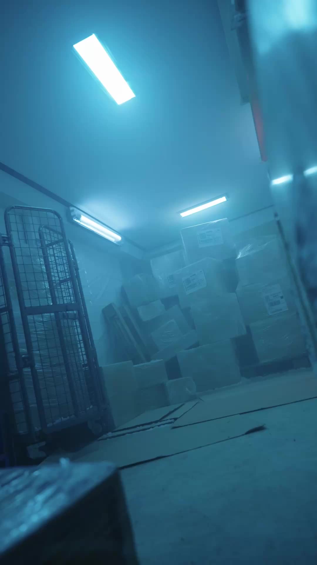 Episode 5