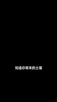 集 4