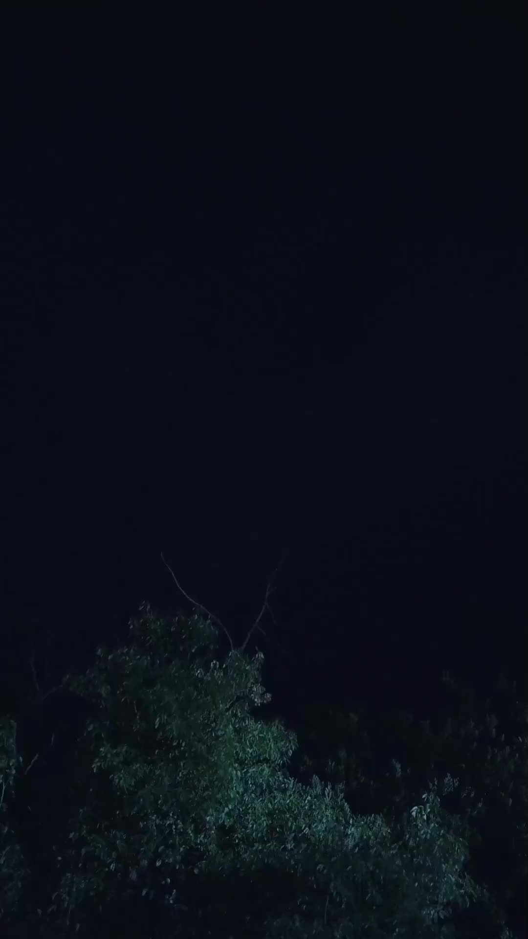 集 15