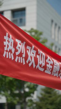 集 11