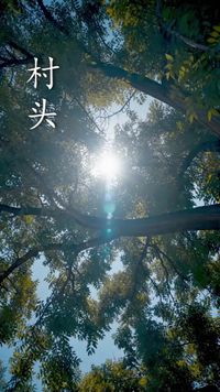 集 1
