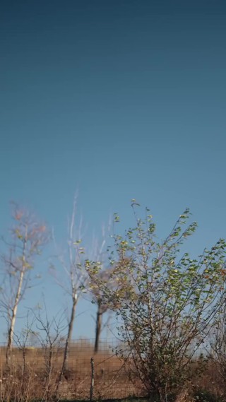 集 18