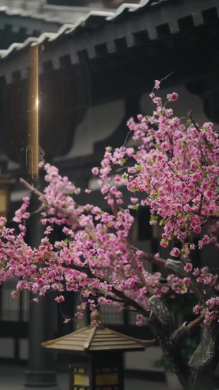 集 9