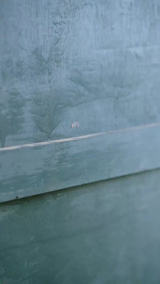 集 4