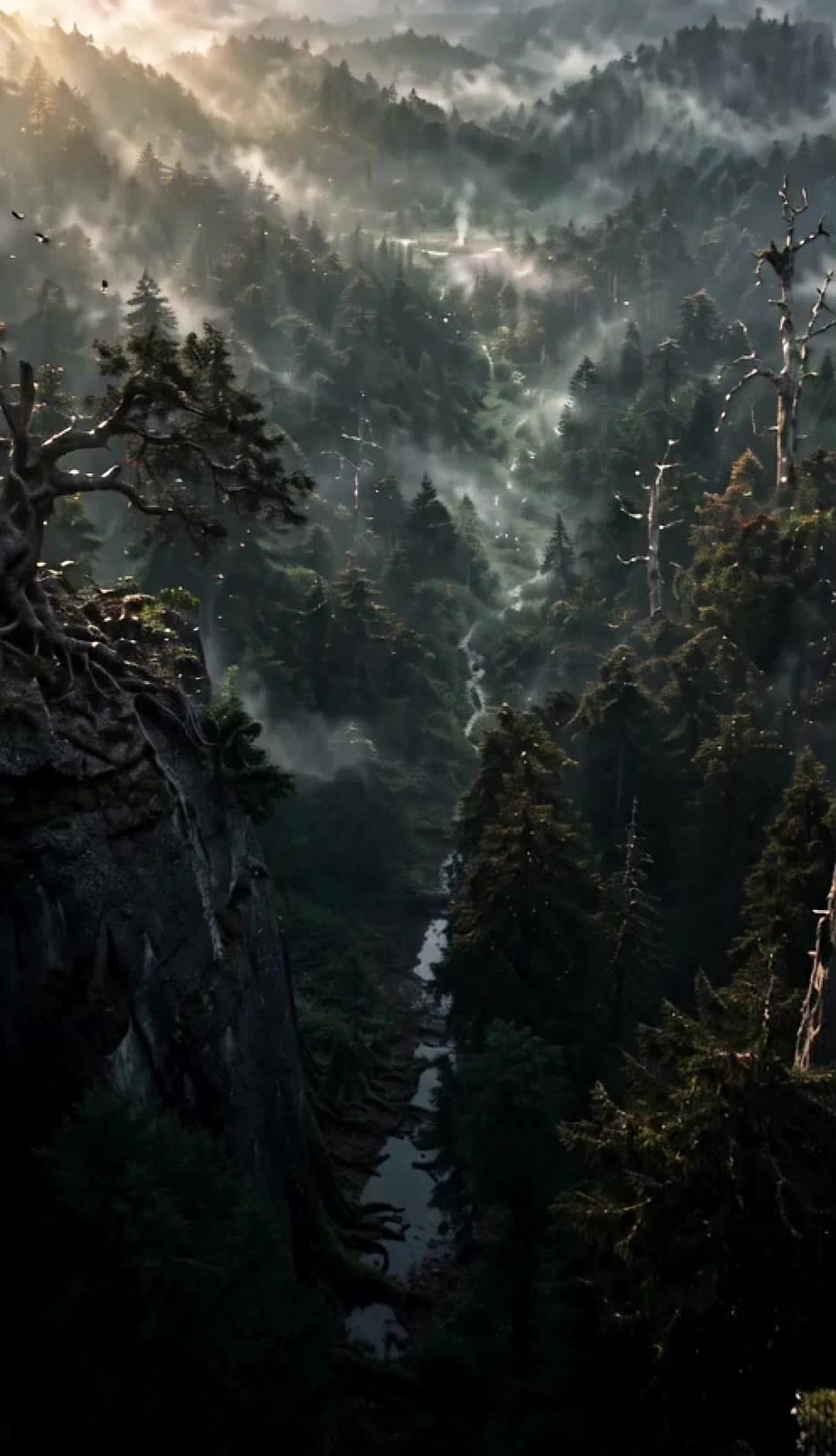 Episode 23