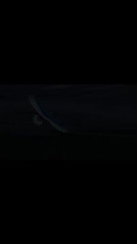 Episode 22