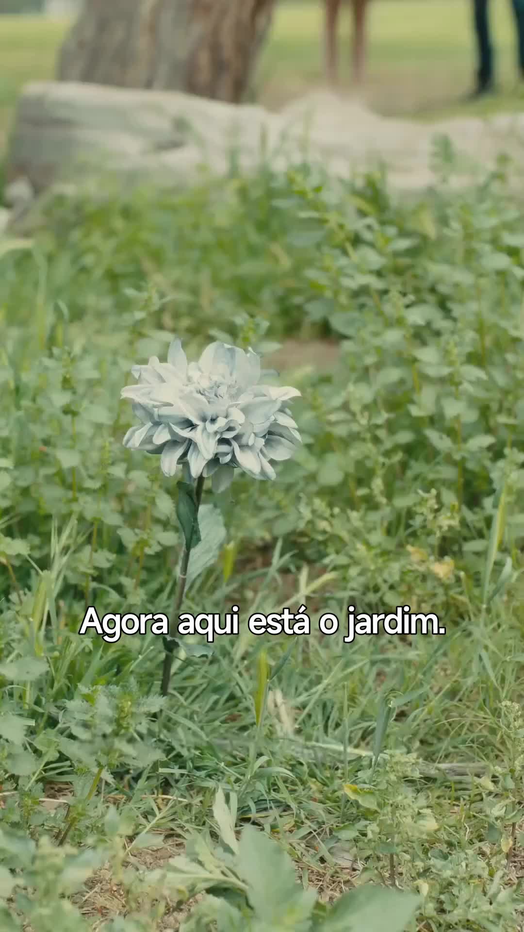 Episódio 28