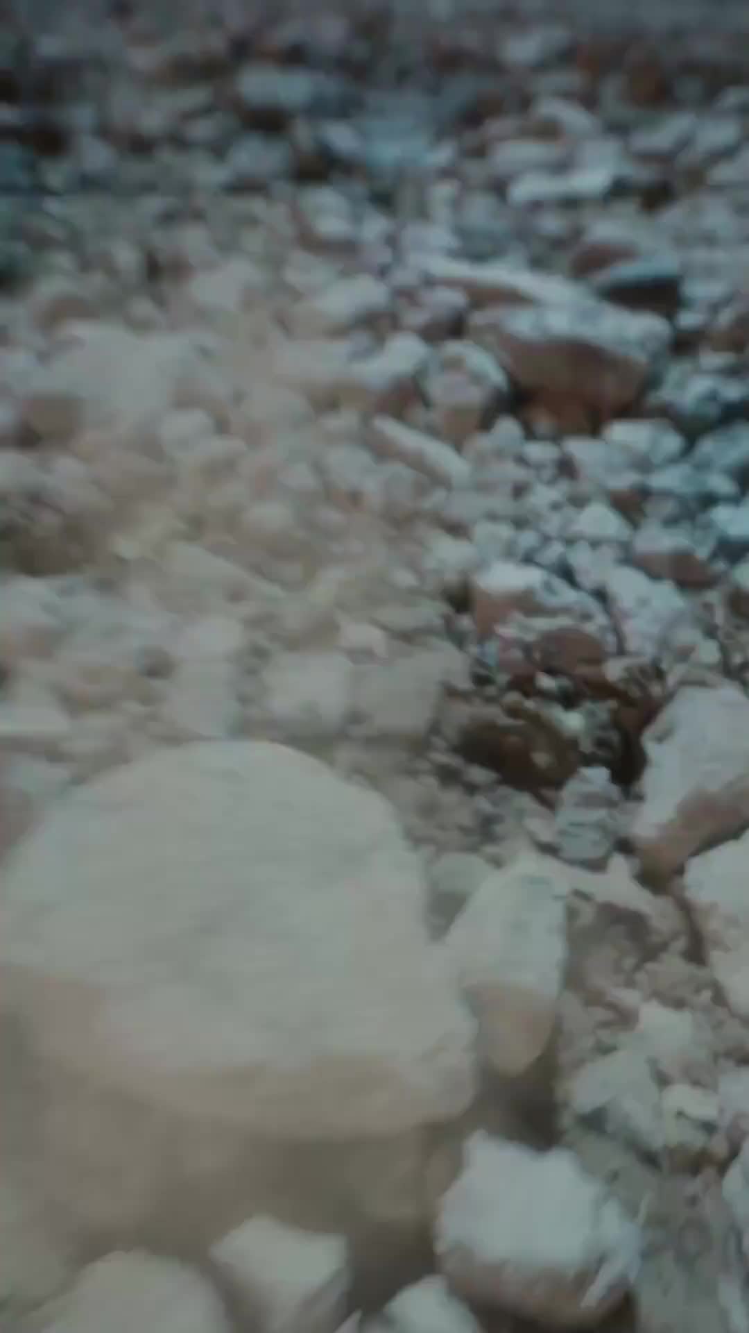 화 14