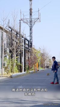 集 6