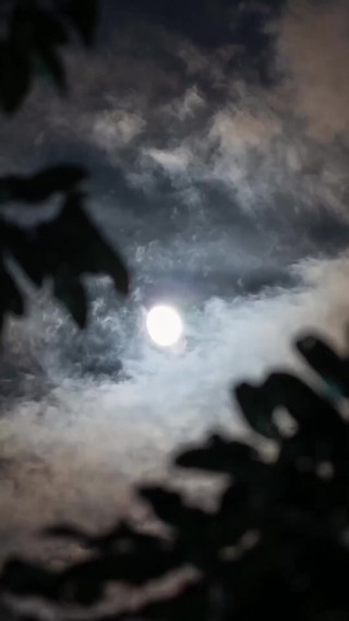 集 2