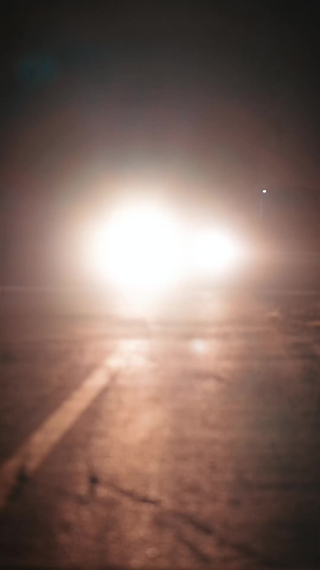 集 29