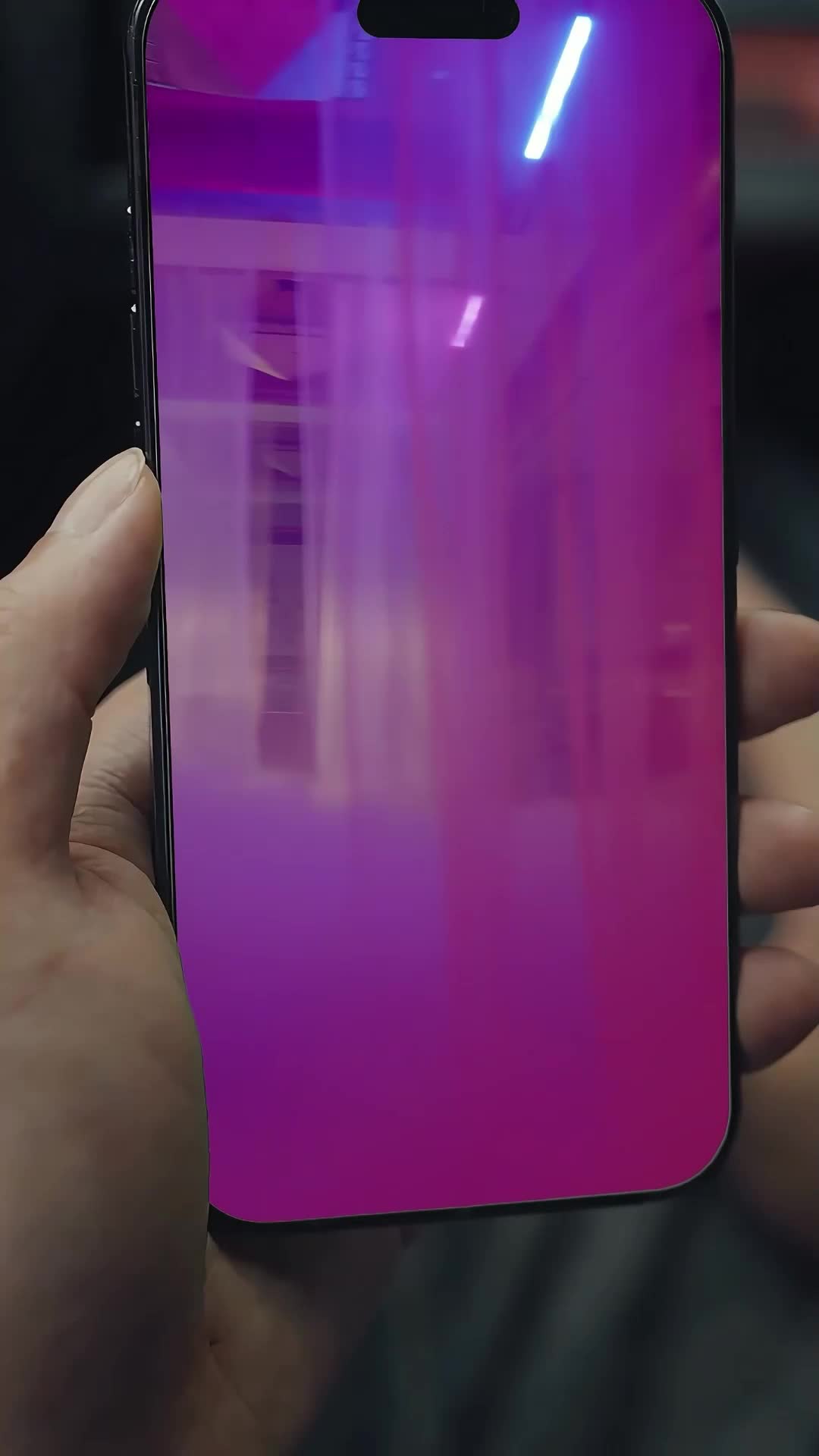 集 5