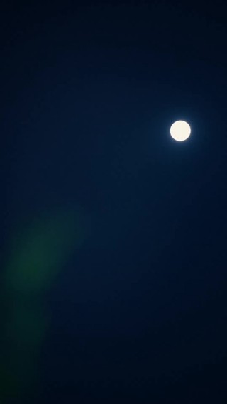 集 7