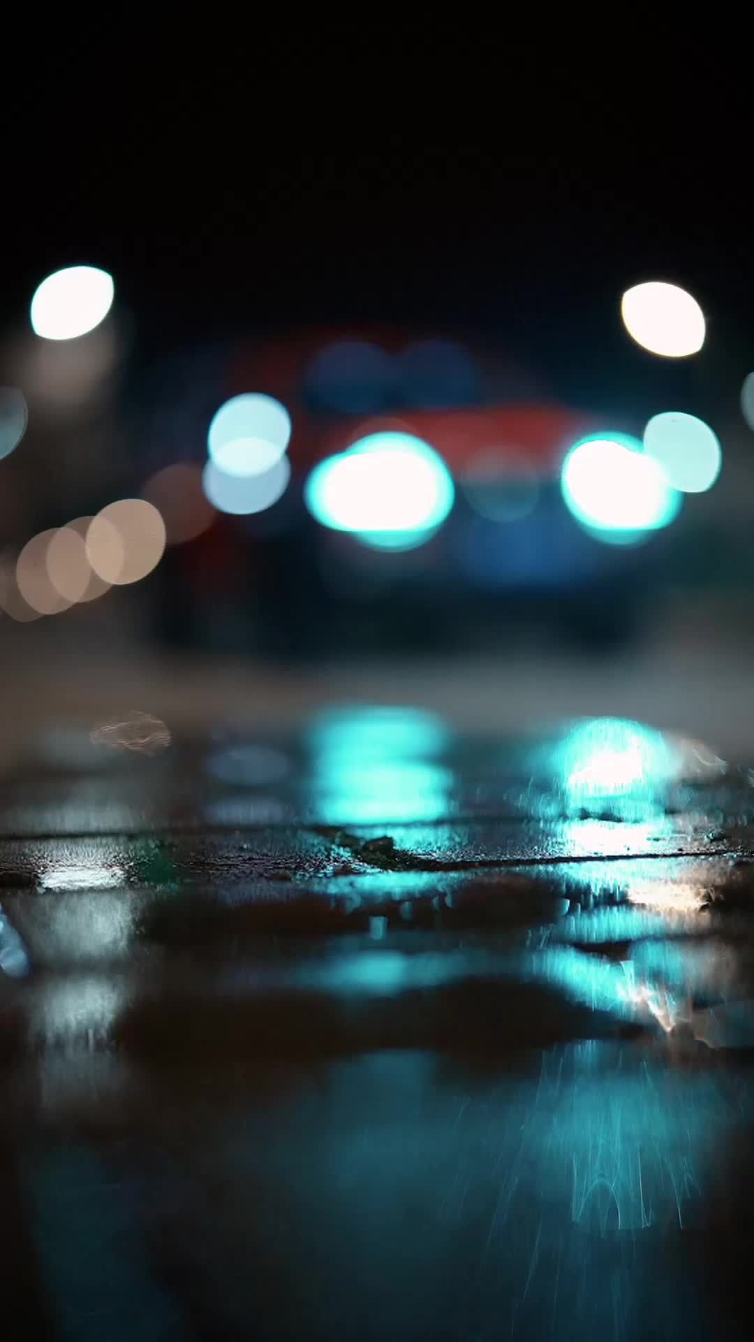 集 9