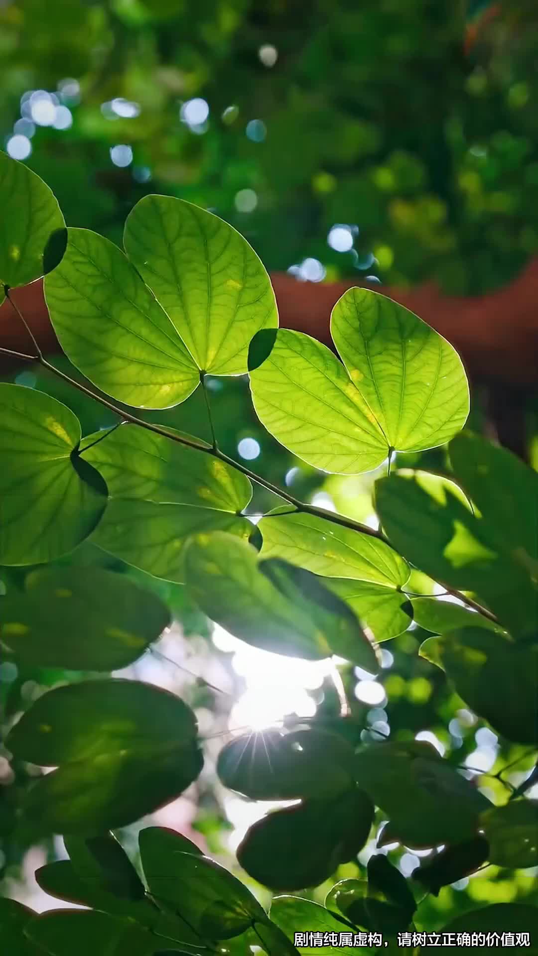 話 5
