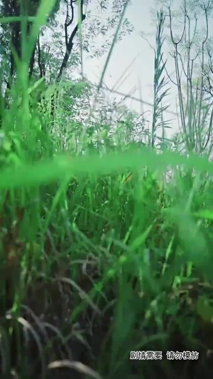 集 1
