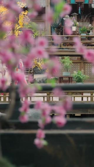 集 8