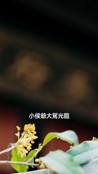 화 18